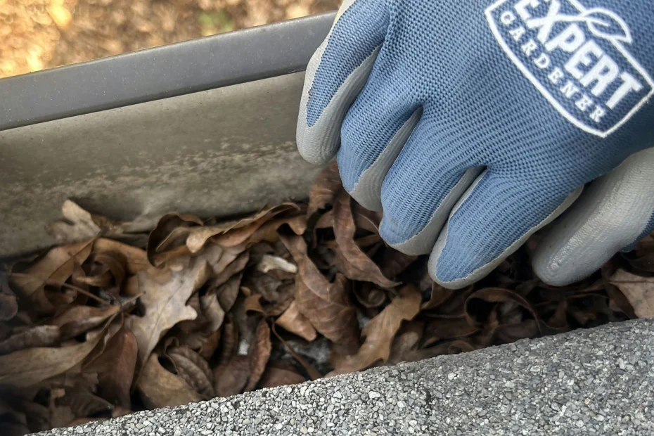 Gutter Cleaning St. Gabriel