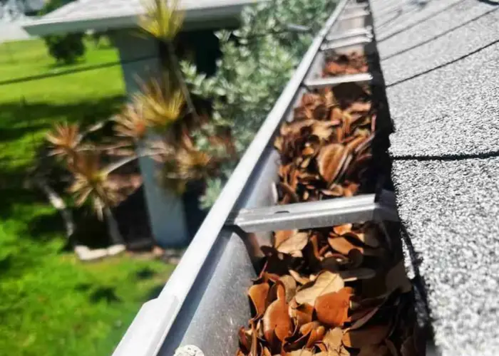 Gutter Cleaning St. Gabriel home page